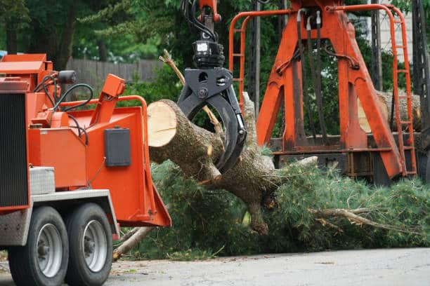 Land clearing service