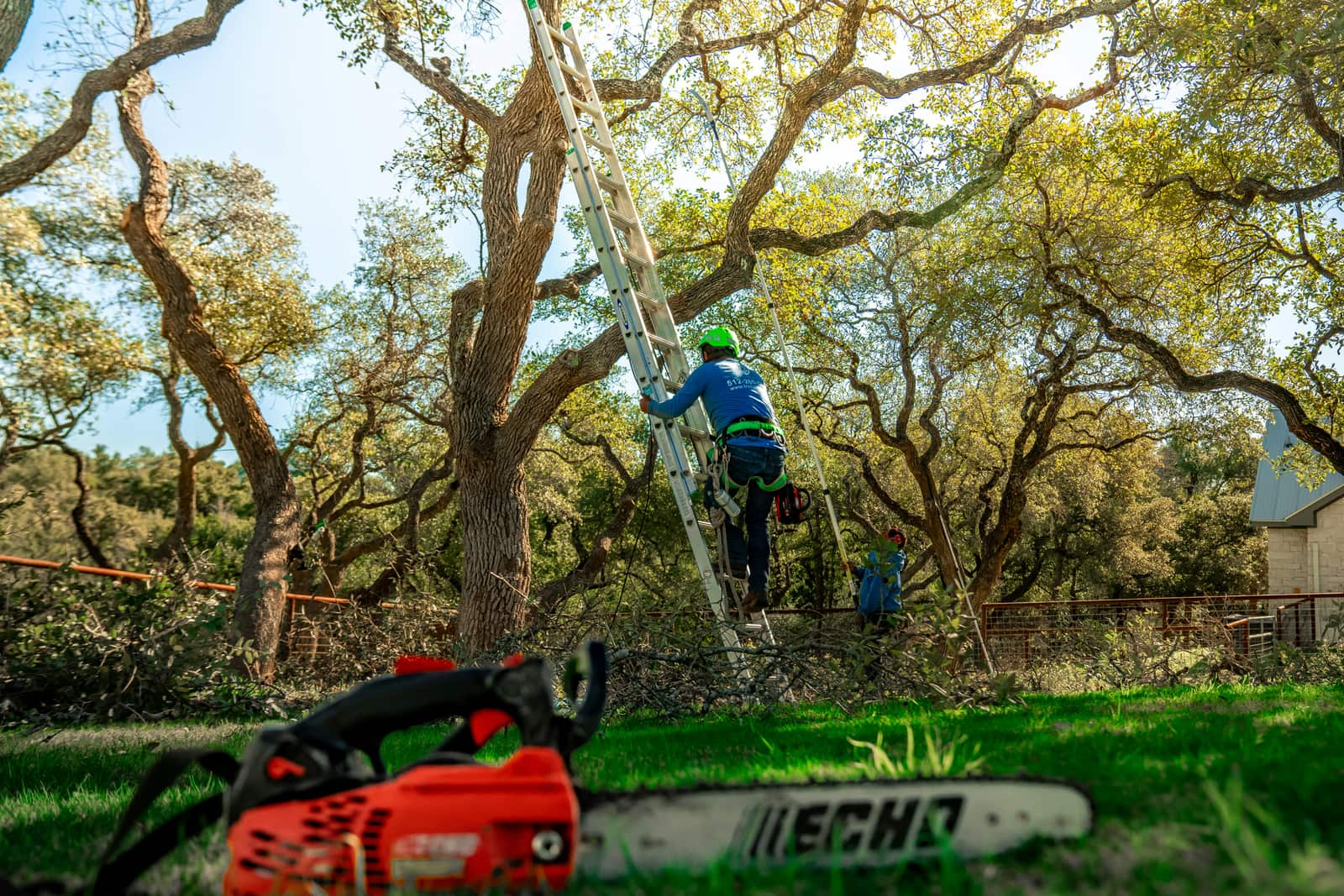Lawn and landscaping services