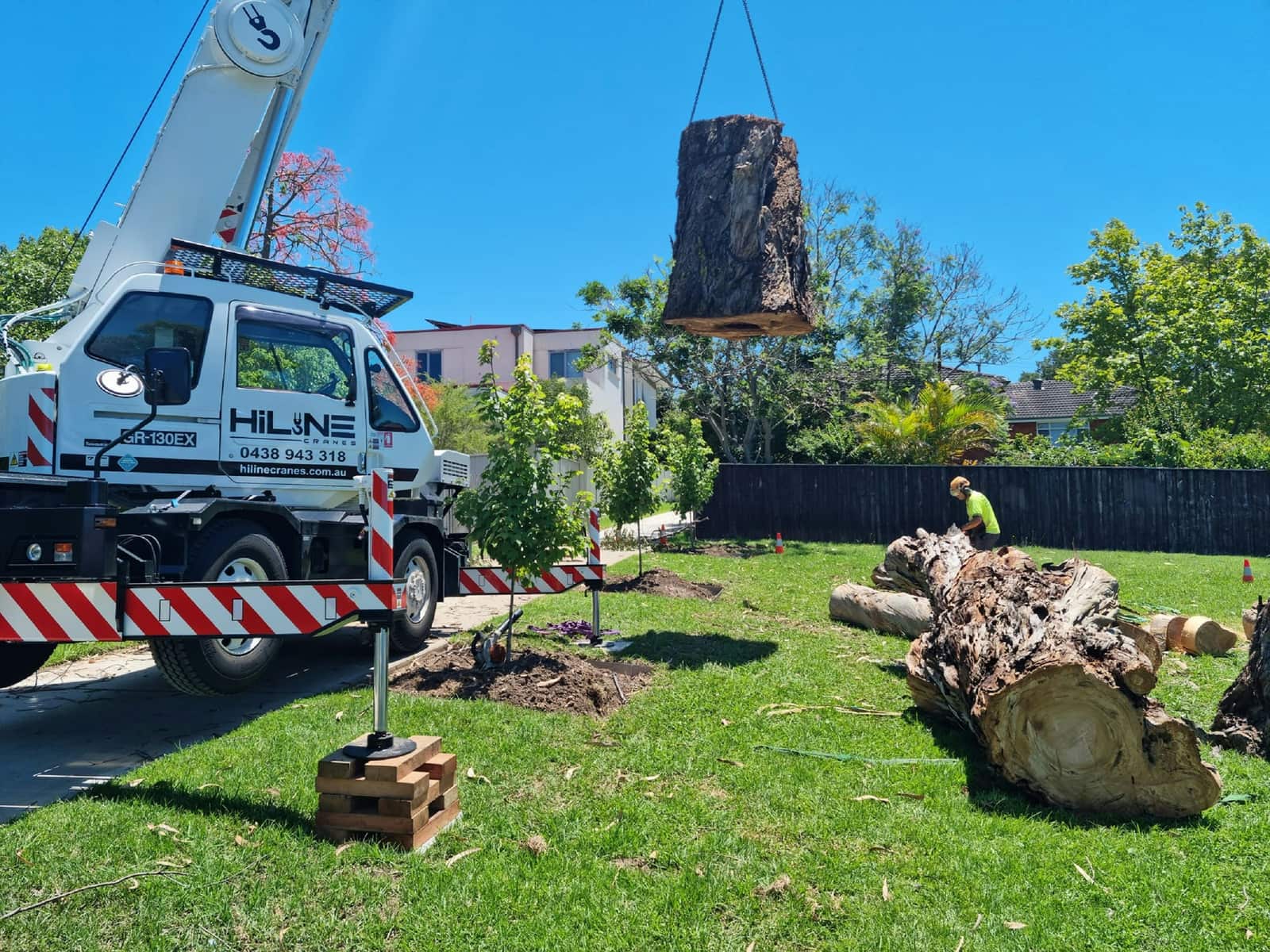Tree and limb removal
